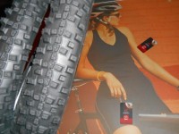  Schwalbe Smart Sam Plus Addix 29x2.1 SnakeSkin- 1300 грн